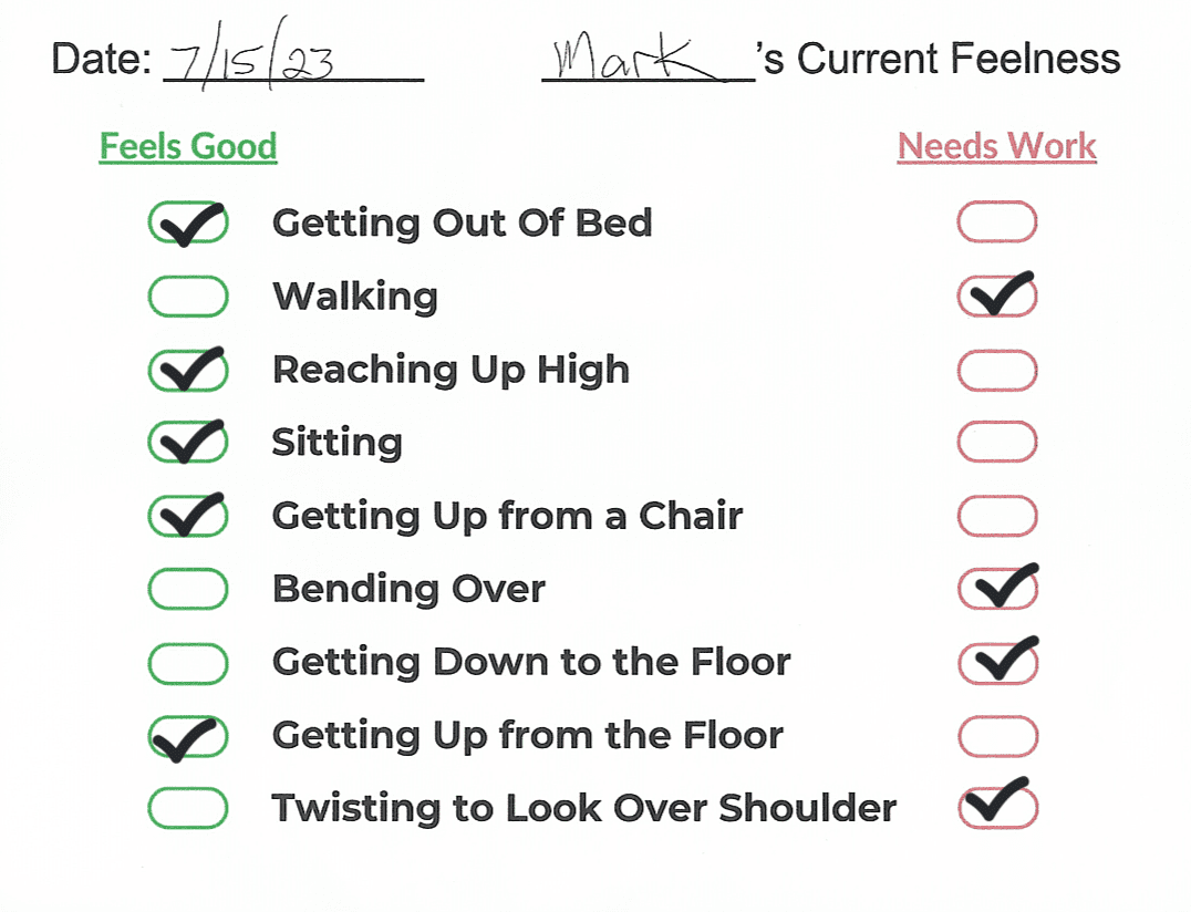 Feelness tracker July 16 23 e1702828138804